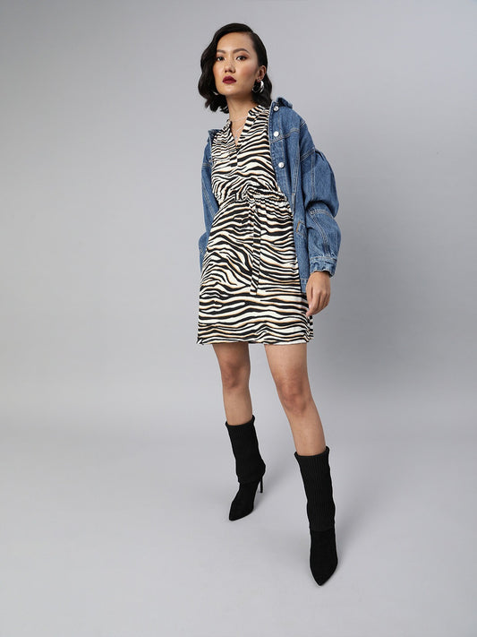 Fit and flare zebra dress