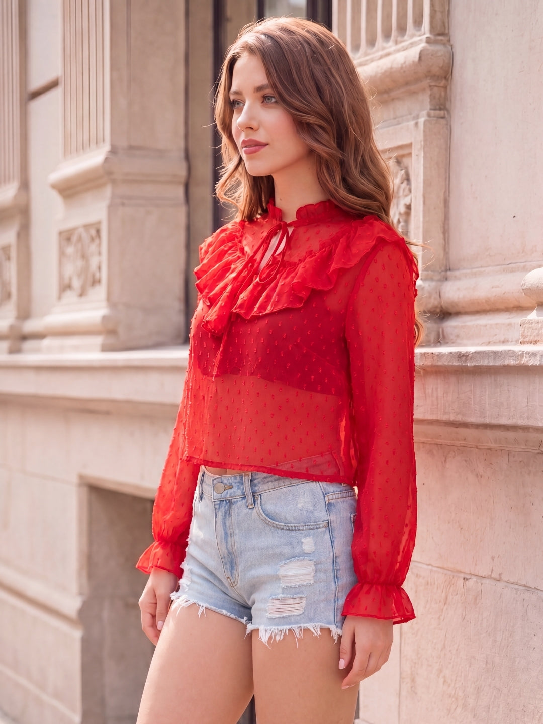 Chiffon Tie-Up Neck Sheer Top