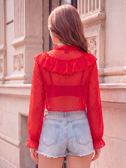 Chiffon Tie-Up Neck Sheer Top