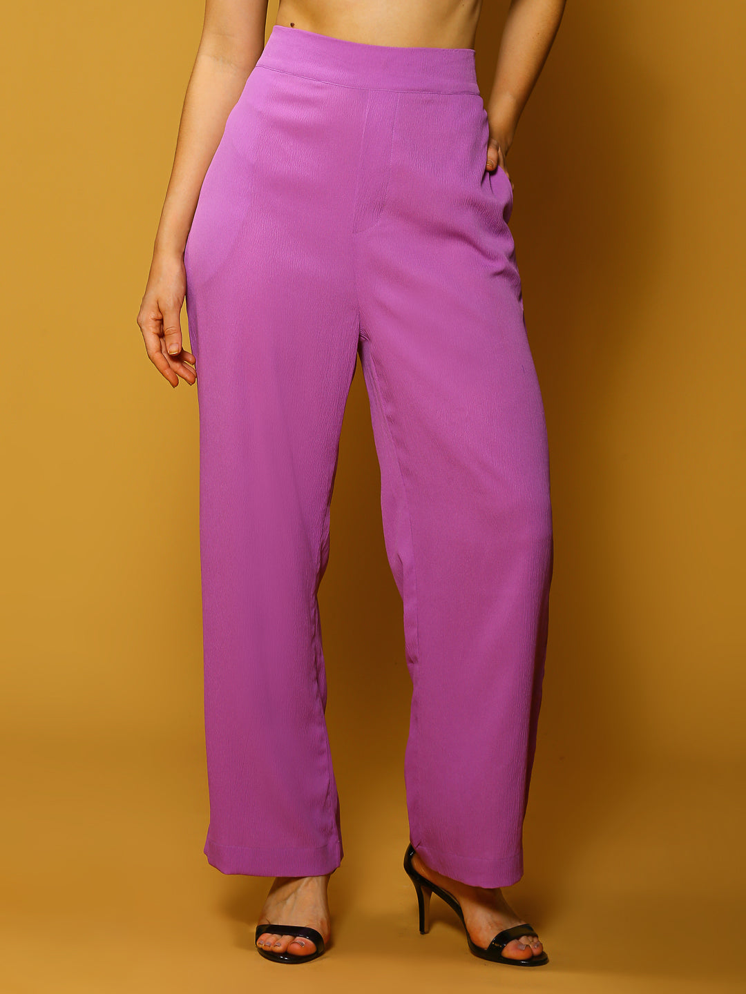 Purple Solid PrintTrouser