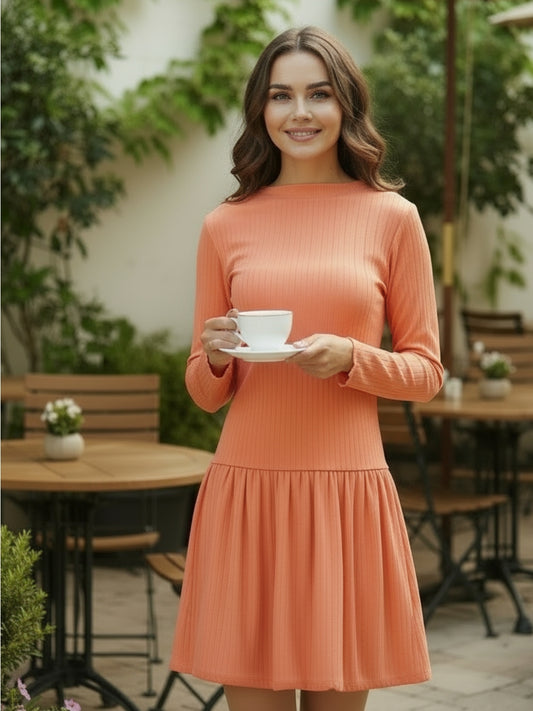 Orange Pleated Long Sleeve  Elegant Fit & Flare Short  Mini Dress for Women